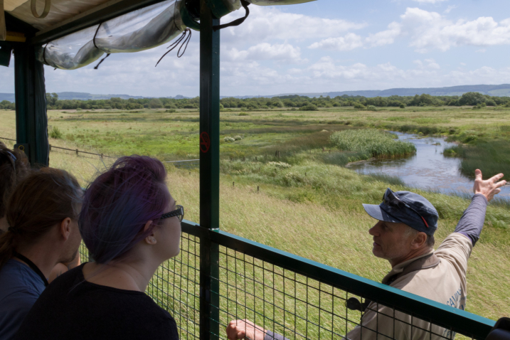 Dave Paynter running a Wild Safari out on Slimbridge reserve.jpg